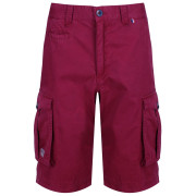 Short homme Regatta Shorebay Short