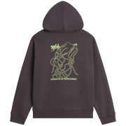 Sweat-shirt homme The North Face U Nse Slopes Relaxed Hoodie - Graphic