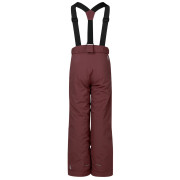 Pantalon d'hiver enfant Dare 2b Outmove III Insulated Pant Huckleberry