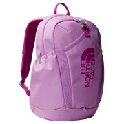 Sac à dos The North Face Y Mini Recon rose Dragonfruit/Deep Mulber