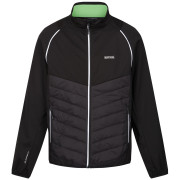 Veste homme Regatta Steren Hybrid noir / gris Black(Jasmine Green)