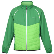 Veste homme Regatta Steren Hybrid green Field Green/Jasmine Green