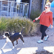 Laisse pour chien Nite Ize RadDog™ Retractable Pocket Leash