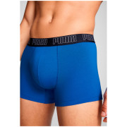 Caleçon homme Puma Everyday Trunk 2P