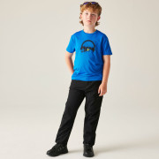 Pantalon enfant Dare 2b Rapid Trouser Black