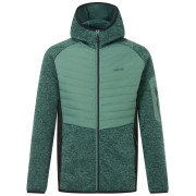 Veste hybride pour homme Regatta Newhill Hybrid vert / noir DkFrstGr/Blk
