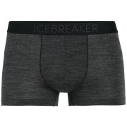 Caleçon homme Icebreaker M Anatomica Cool-Lite Trunks noir / gris BlackHthr