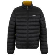 Veste homme Regatta Marizion