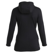 Veste polaire fonctionnelle femme Icebreaker W Mer 260 Quantum IV LS Zip Ho