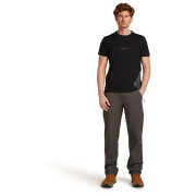 T-shirt homme Icebreaker Men Merino 150 Tech Lite SS Tee 30th Anniversary