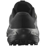 Chaussures homme Salomon Alphaglide Gore-Tex