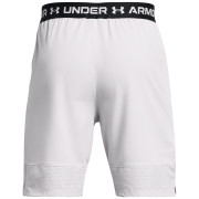Shorts homme Under Armour Vanish Woven Shorts