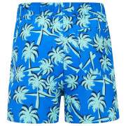 Maillot bain enfant Regatta Skander SBluIGrPalm