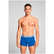 Caleçon homme Puma Everyday Multi Logo Boxers 2P