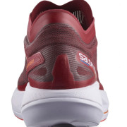 Chaussures de running hommes Salomon Phantasm