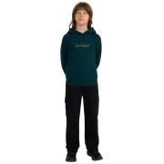 Sweatshirt enfant 4F Sweatshirt M1959