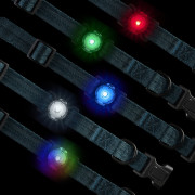 Lumière pour chien Nite Ize NiteDog™ Rechargeable Pet Light