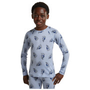 T-shirt fonctionnel enfant Icebreaker Kids M 200 Oasis LS Crewe Bear Tour AOP