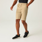 Shorts homme Regatta Aldan Short