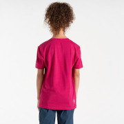 T-shirt enfant Dare 2b Trailblazer II Tee