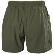 Short femme Helly Hansen W Vista Hike Shorts