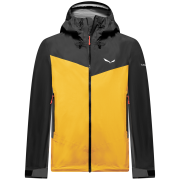 Veste homme Salewa Ortles Ptx 3L Jkt M doré gold/0910