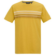 T-shirt homme Regatta Rendro jaune CeylonYellow