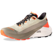 Chaussures de running hommes Dynafit Ultra 100 V3 beige Rock Khaki/Overcast