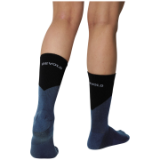 Chaussettes fonctionnelles Devold Endurance Merino Sock