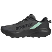 Chaussures running femme Adidas Terrex Tracefinder Plus Gtx