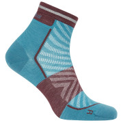 Chaussettes homme Icebreaker Men Merino Run+ Ultralight Mini