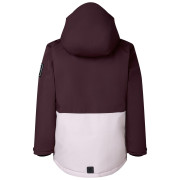 Veste enfant Dare 2b Wing It Jacket Hucklbr/PkHz