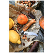 couteau pliant Opinel N°04 Carbon