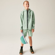 Veste enfant Dare 2b Kids Switch II Jacket GlacierGreen