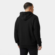 Sweat-shirt homme Helly Hansen HH Box Hoodie 2025