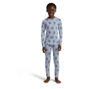 Sous-vêtements fonctionnels enfant Icebreaker Kids M 200 Oasis Leggings Bear Tour AOP
