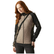 Veste femme Regatta Wms Newhill Hybrid