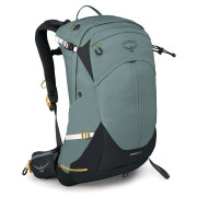 Sac à dos femmes Osprey Sirrus 24 green succulent green