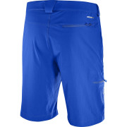 Short homme Salomon Wayfarer LT Short M