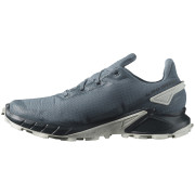 Chaussures de running hommes Salomon Alphacross 4 Gore-Tex