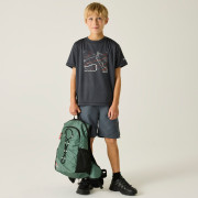 T-shirt enfant Regatta Alvarado Seal Grey