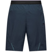 Shorts homme Salewa Pedroc 4 Dst Cargo Short M
