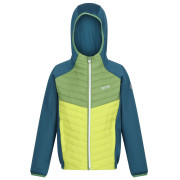 Veste enfant Regatta Kielder Hybrd VIII jaune / bleu Moroccan Blue/Piquant Green