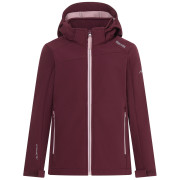 Veste softshell enfant Regatta Haydenbury Fig violet Fig Powder Lilac