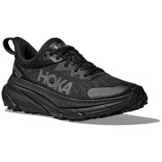 Chaussures femme Hoka W Challenger Atr 7 Gtx (2023) vert Black / Black