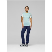 Patalon femme Norrona falketind flex1 light Pants