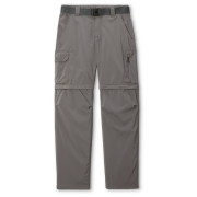 Pantalon homme Columbia Silver Ridge™ Utility Convertible Pant