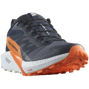 Chaussures de running hommes Salomon Sense Ride 5 Gore-Tex bleu / orange India Ink / Carbon / Dragon Fire