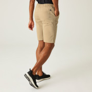 Shorts homme Regatta Aldan Short