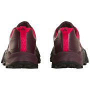 Chaussures running femme The North Face W Offtrail TR Gore-Tex